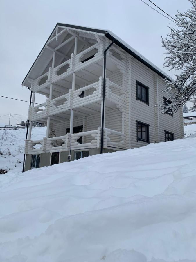 Villa Olexandr&Matvii Bukovel Esterno foto